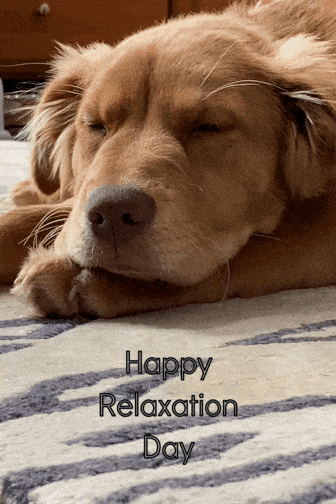Maisy Relaxation Day ecard