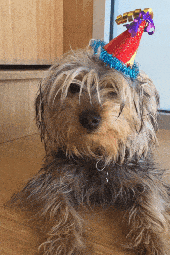 Cosmo Birthday Hat ecard