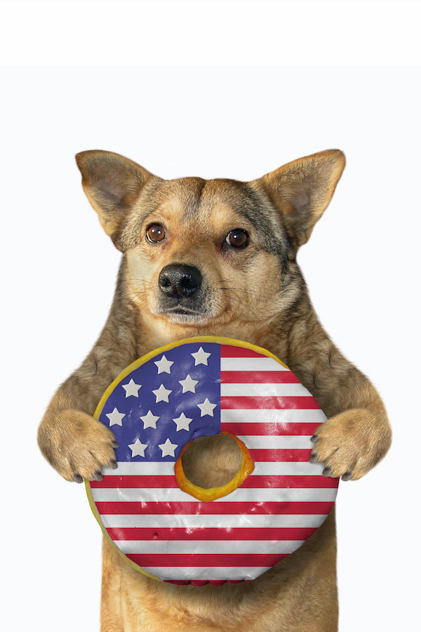 Donut Dog MW SS ecard