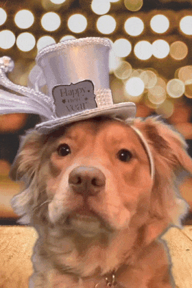 Maisy White New Years Hat ecard