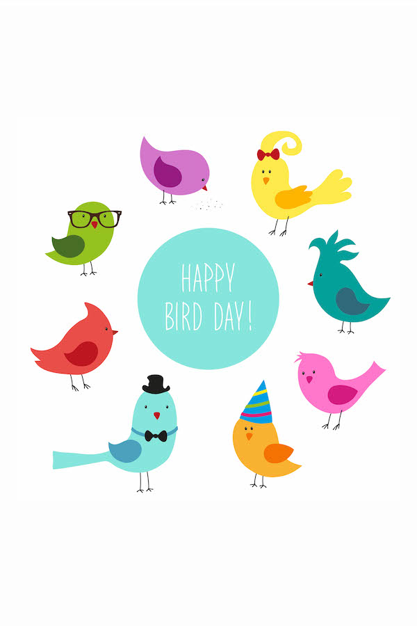Happy Bird Day ecard