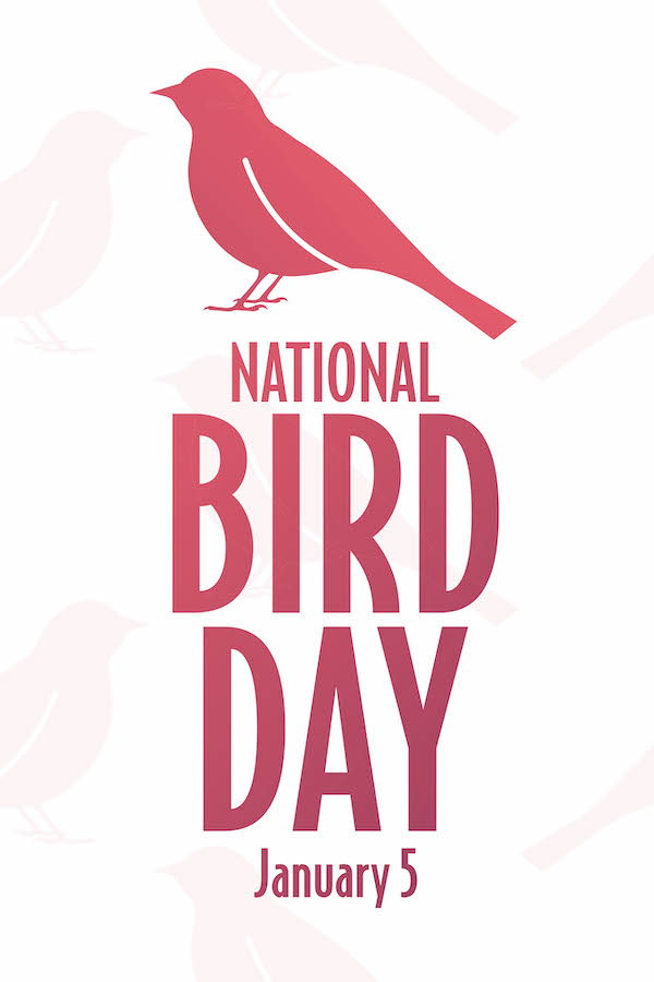 National Bird Day ecard