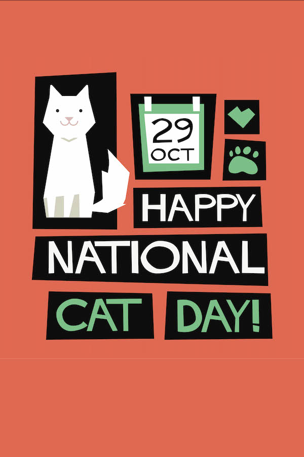 National Cat Day Boxes MW SS ecard