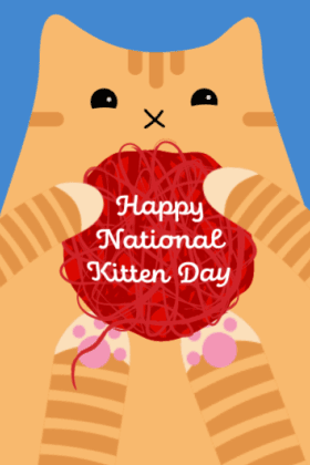 Kitten Yarn ecard