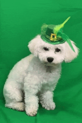 Otis Patty Hat ecard